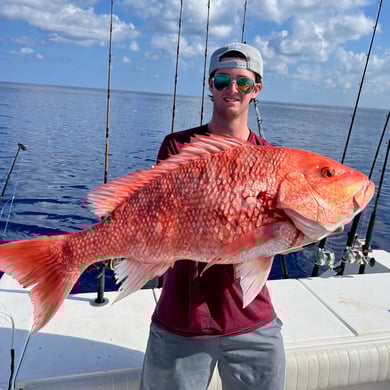 Red Snapper