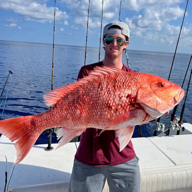 Red Snapper