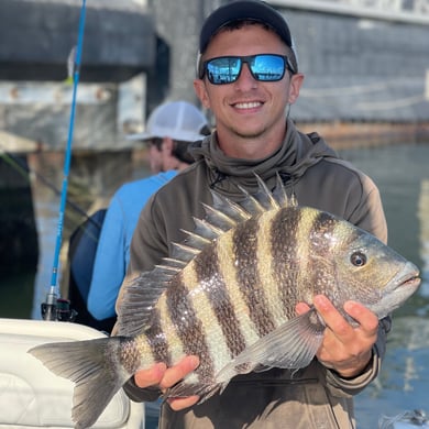 Sheepshead