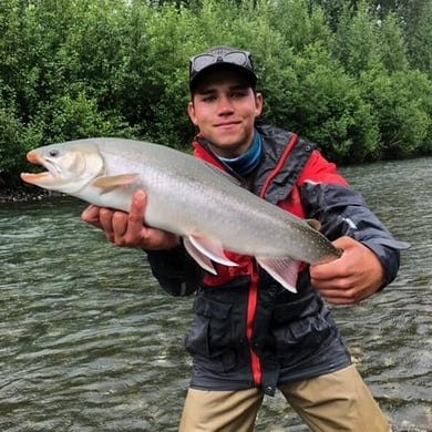 Dolly Varden