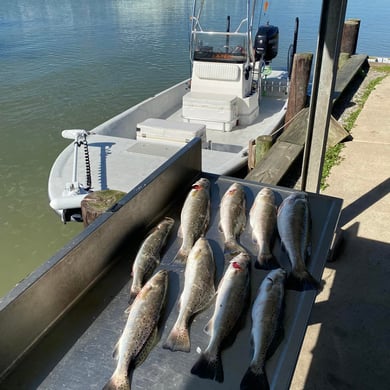 Fishing in Texas City