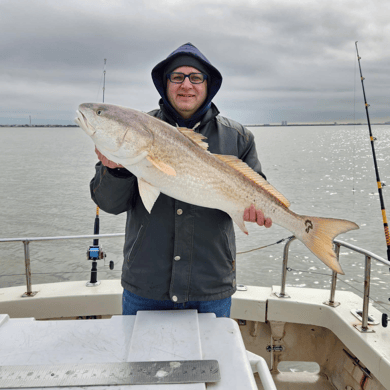 shark fishing trips galveston tx