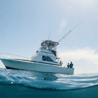 Fishing in South Padre Island