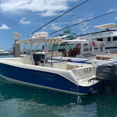 Fishing in Miami Beach