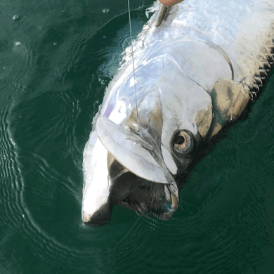 Islamorada