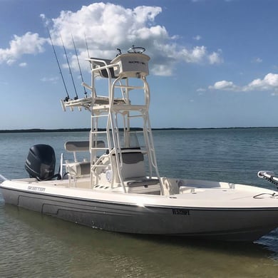 Fishing in Clearwater