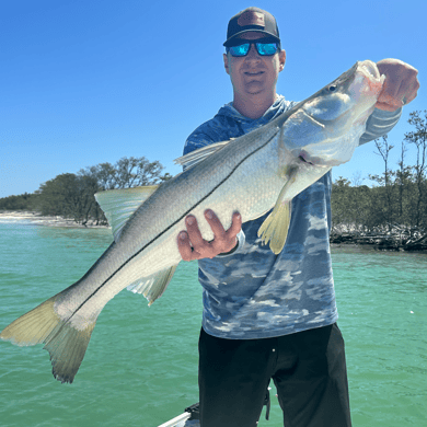 Fishing in Clearwater