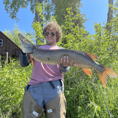 northern pike fishing trip