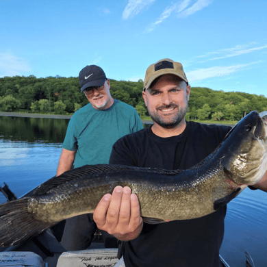 Bowfin