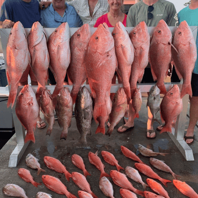 panama city fishing tours