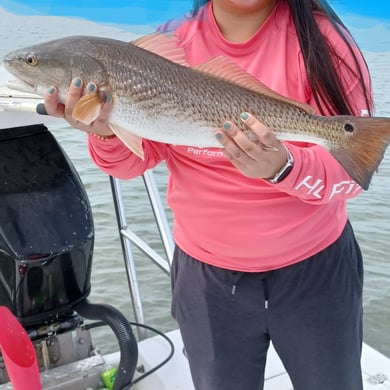 Fishing in Clearwater