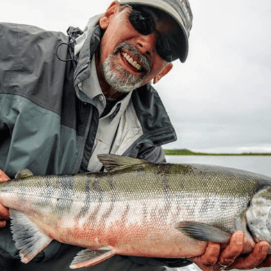 Chum Salmon