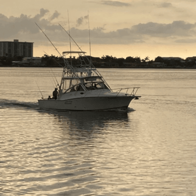 Fishing in Clearwater