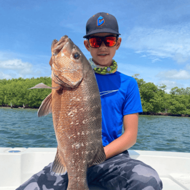 Fishing in Miami Beach