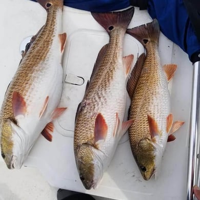 Fishing in Pensacola