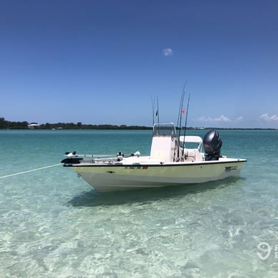 Fishing in Sarasota