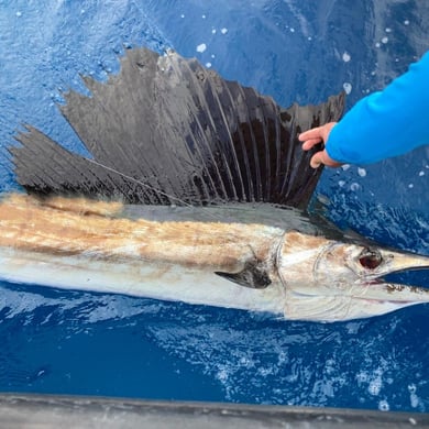 Fishing in West Palm Beach