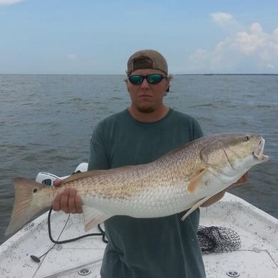 Gulf Shores