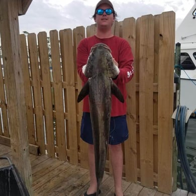 Fishing in Orange Beach