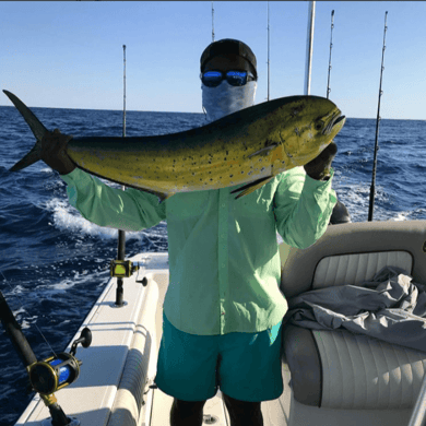 Fishing in North Charleston