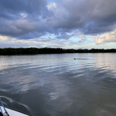 Fishing in Edgewater