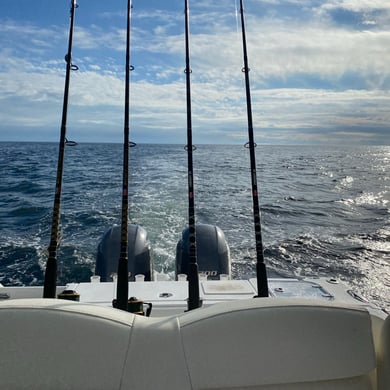 Fishing in Orange Beach