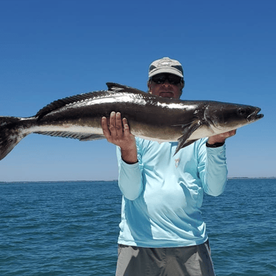 Fishing in Jacksonville