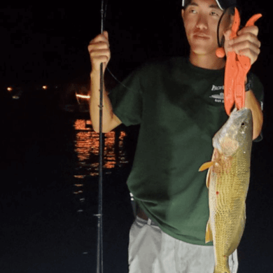 Fishing in St. Petersburg