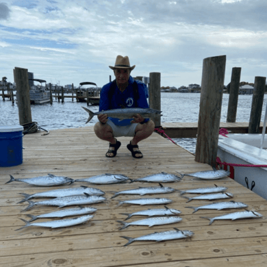 Fishing in Gulf Shores