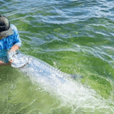 Fishing in Miami Beach