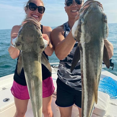 Sarasota