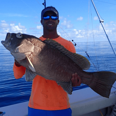 red snapper fishing trip galveston red snapper fishing trip galveston