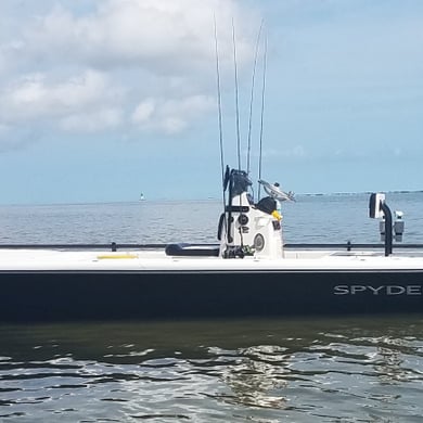 Fishing in New Smyrna Beach