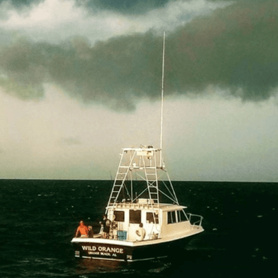 Fishing in Orange Beach