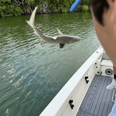 Fishing in Key Largo