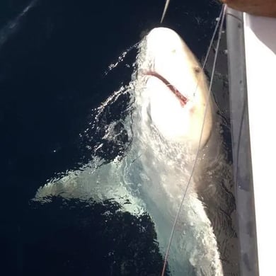 Fishing in Key Largo