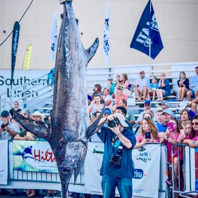 Fishing in Boothville-Venice