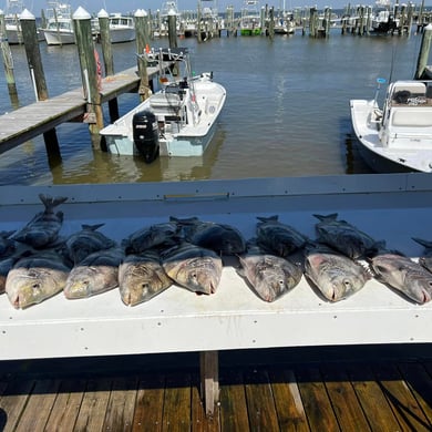 Fishing in Gulf Shores