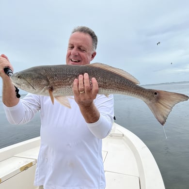 Fishing in Sarasota