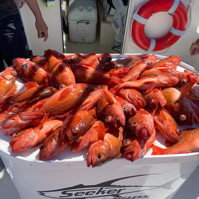 Fishing in San Diego