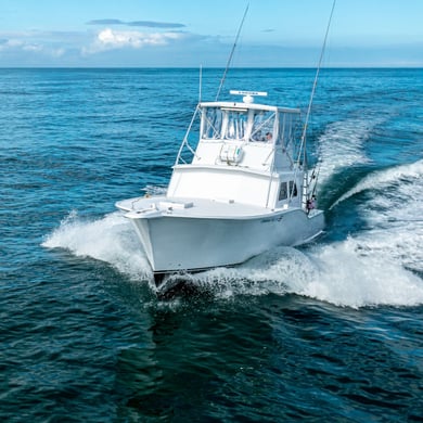 Fishing in Puerto Jiménez