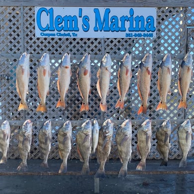 Fishing in Corpus Christi