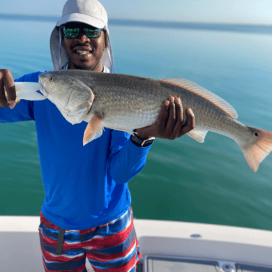 Fishing in Sarasota