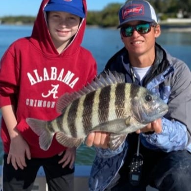 Sarasota