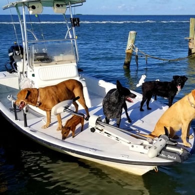 Fishing in Rockport