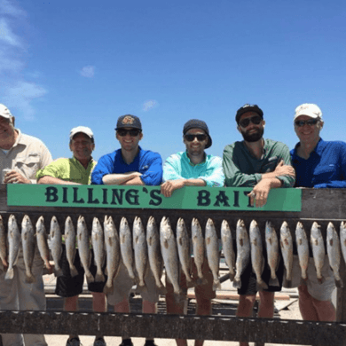 The 15 Best Black Drum Fishing Charters in Port Aransas