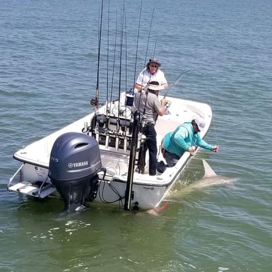 Fishing in Crystal River