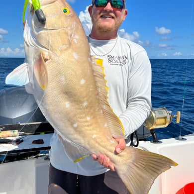 Snowy Grouper