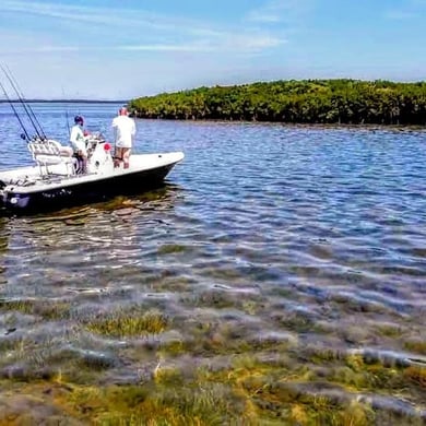 Fishing in Crystal River