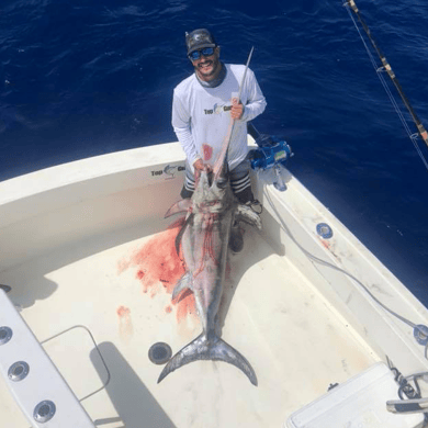 Fishing in Key Biscayne